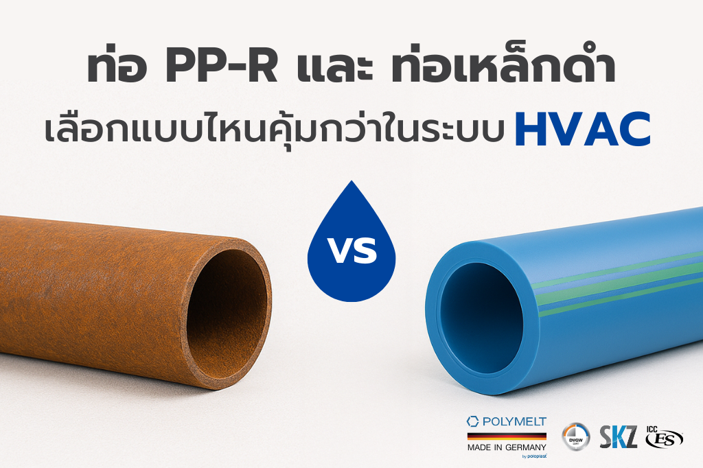 Read more about the article PP-R Pipe vs Steel Pipe